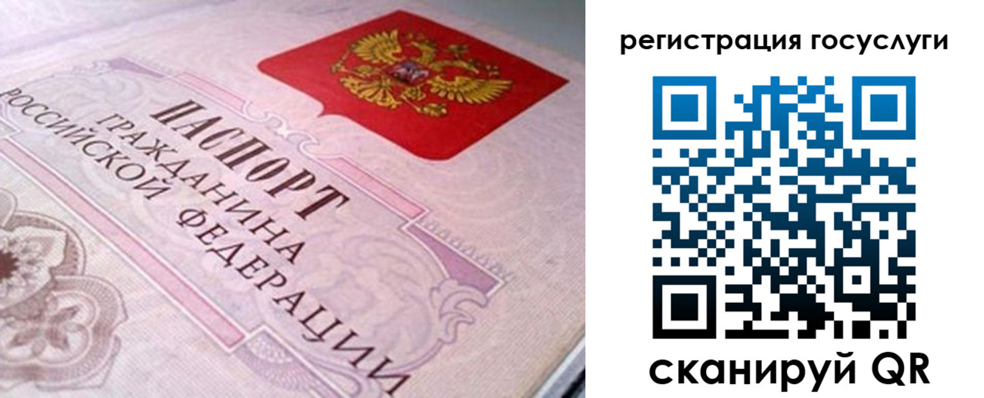 где прописаться в Дрезне